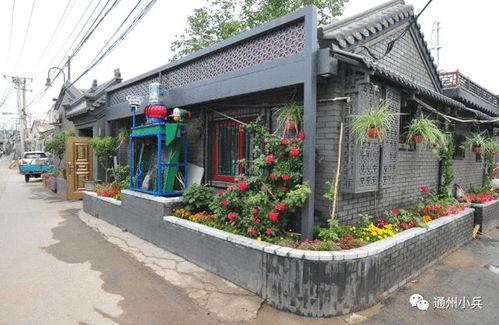 2025年皮蛋黑点官方最新爆料,全新爆料解读